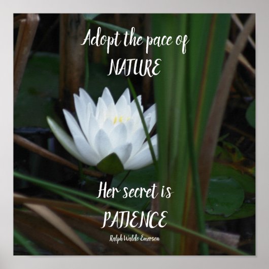 Patience Emerson Inspirerend Quote Lotus Poster (Voorkant)