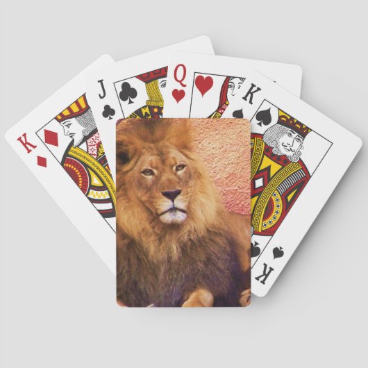 Patience_ Speelkaarten (Achterkant)