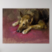 Patiënt Duitse herder door Marino Lenci Poster (Voorkant)
