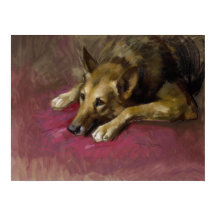 Patiënt Duitse herder door Marino Lenci