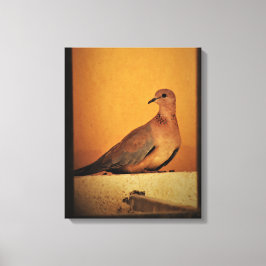 Patiëntenpost Canvas Afdruk