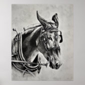 Patientie is een virtueel poster (Voorkant)