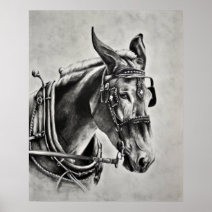 Patientie is een virtueel poster