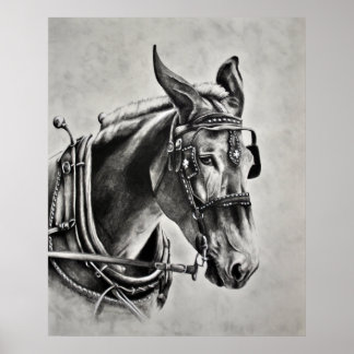 Patientie is een virtueel poster