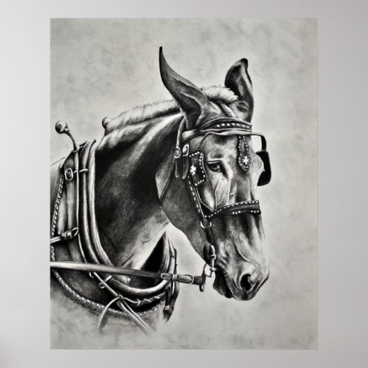 Patientie is een virtueel poster (Voorkant)