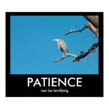 PATIËNTIE kan een angstaanjagend Poster zijn