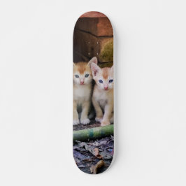 Patineta Dos Gaticos Hermanos Atentos Persoonlijk Skateboard