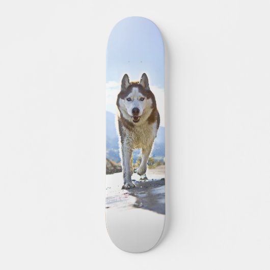 Patineta Enérgico Husky Siberiano Caminando Persoonlijk Skateboard (Voorkant)