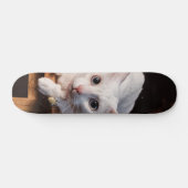 Patineta Gato Blanco Montado En Una Silla Persoonlijk Skateboard (Horizontaal)