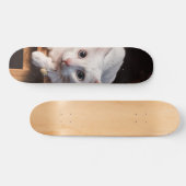 Patineta Gato Blanco Montado En Una Silla Persoonlijk Skateboard (Horizontaal)