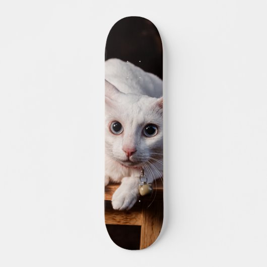 Patineta Gato Blanco Montado En Una Silla Persoonlijk Skateboard (Voorkant)