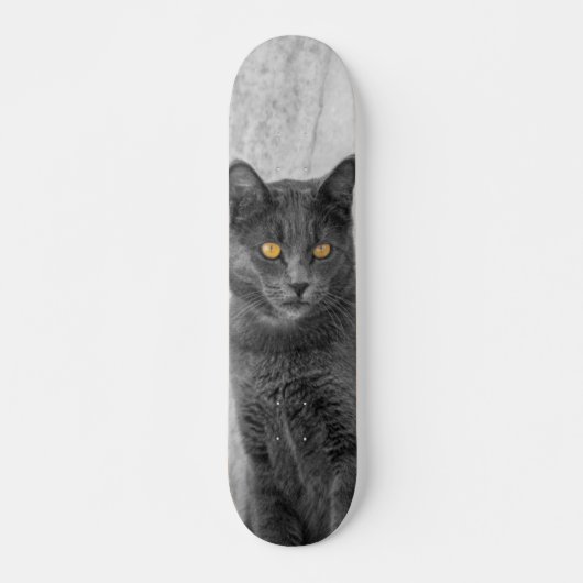 Patineta Gato Negro Británico De Pelo Corto Persoonlijk Skateboard (Voorkant)
