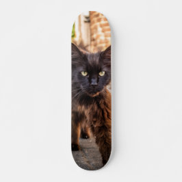 Patineta Gato Negro Caminando Cauteloso Persoonlijk Skateboard