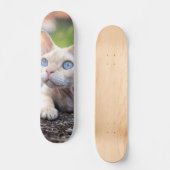 Patineta Gato Ojos Azules Devon Rex Persoonlijk Skateboard (Voorkant)
