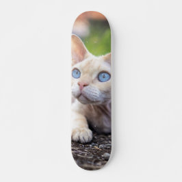 Patineta Gato Ojos Azules Devon Rex Persoonlijk Skateboard