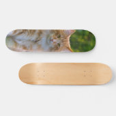 Patineta Gato Peludo Marrón Y Blanco Mirando Persoonlijk Skateboard (Horizontaal)