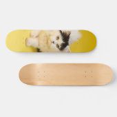 Patineta Gato Persa Caminando Persoonlijk Skateboard (Horizontaal)