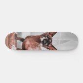 Patineta Gato Raza Esfinge  Persoonlijk Skateboard (Horizontaal)