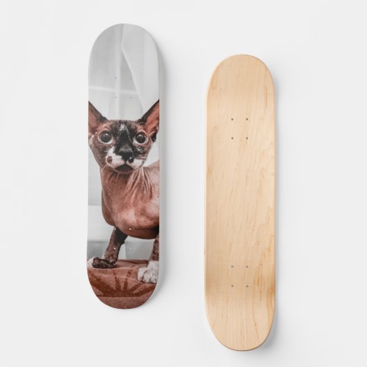 Patineta Gato Raza Esfinge  Persoonlijk Skateboard (Voorkant)