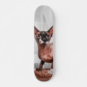 Patineta Gato Raza Esfinge  Persoonlijk Skateboard (Voorkant)