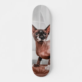 Patineta Gato Raza Esfinge  Persoonlijk Skateboard