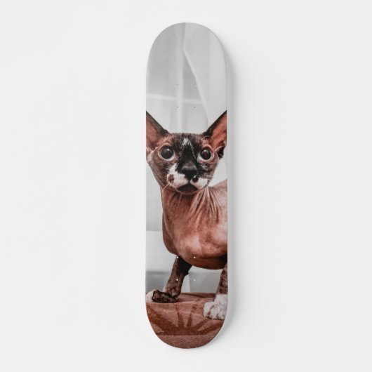 Patineta Gato Raza Esfinge  Persoonlijk Skateboard (Voorkant)