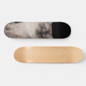 Patineta Gato Siberiano Observando Persoonlijk Skateboard (Horizontaal)