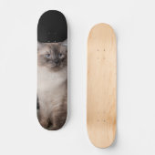 Patineta Gato Siberiano Observando Persoonlijk Skateboard (Voorkant)