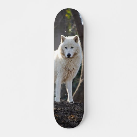 Patineta Lobo Blanco En El Bosque Persoonlijk Skateboard (Voorkant)
