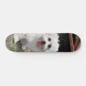 Patineta Perro Pequeño Blanco Y Peludo Persoonlijk Skateboard (Horizontaal)