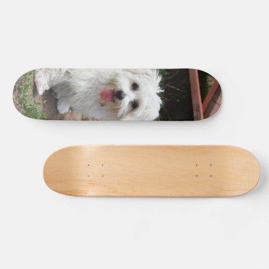 Patineta Perro Pequeño Blanco Y Peludo Persoonlijk Skateboard (Horizontaal)