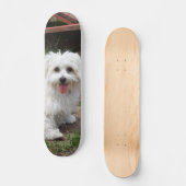 Patineta Perro Pequeño Blanco Y Peludo Persoonlijk Skateboard (Voorkant)