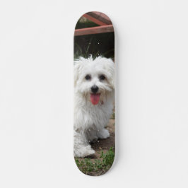 Patineta Perro Pequeño Blanco Y Peludo Persoonlijk Skateboard