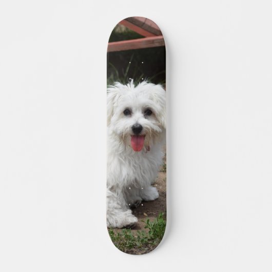 Patineta Perro Pequeño Blanco Y Peludo Persoonlijk Skateboard (Voorkant)