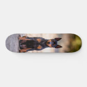Patineta Perro Pinscher Miniatura Sentado Persoonlijk Skateboard (Horizontaal)