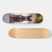 Patineta Perro Pinscher Miniatura Sentado Persoonlijk Skateboard (Horizontaal)