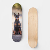 Patineta Perro Pinscher Miniatura Sentado Persoonlijk Skateboard (Voorkant)