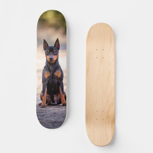Patineta Perro Pinscher Miniatura Sentado Persoonlijk Skateboard (Voorkant)