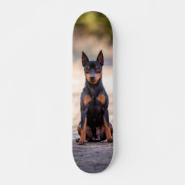 Patineta Perro Pinscher Miniatura Sentado Persoonlijk Skateboard