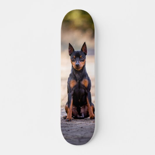Patineta Perro Pinscher Miniatura Sentado Persoonlijk Skateboard (Voorkant)