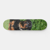 Patineta Perro Rottweiler Vigilando En El Jardín Persoonlijk Skateboard (Horizontaal)