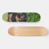 Patineta Perro Rottweiler Vigilando En El Jardín Persoonlijk Skateboard (Horizontaal)