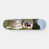 Patineta Pitbull Blanco Sentado En El Campo Persoonlijk Skateboard (Horizontaal)