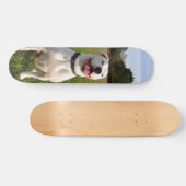 Patineta Pitbull Blanco Sentado En El Campo Persoonlijk Skateboard (Horizontaal)