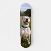 Patineta Pitbull Blanco Sentado En El Campo Persoonlijk Skateboard (Voorkant)