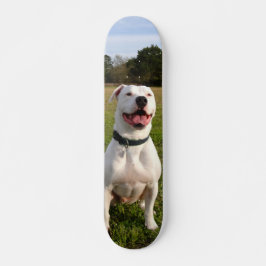 Patineta Pitbull Blanco Sentado En El Campo Persoonlijk Skateboard