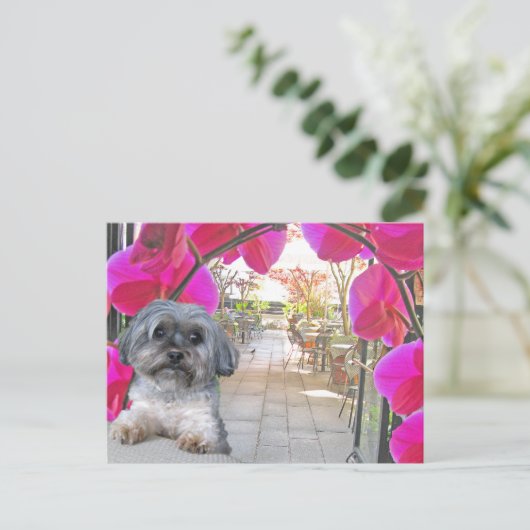 Patio Cafe Briefkaart (Staand voorkant)