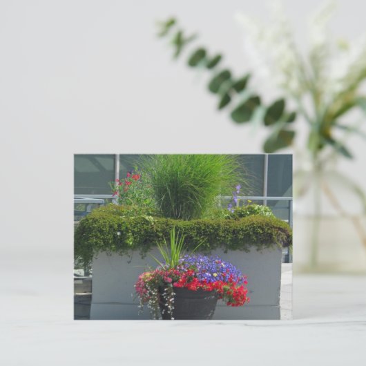 Patio display of 2013 Flowers Briefkaart (Staand voorkant)