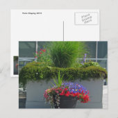 Patio display of 2013 Flowers Briefkaart (Voorkant / Achterkant)