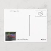 Patio display of 2013 Flowers Briefkaart (Achterkant)